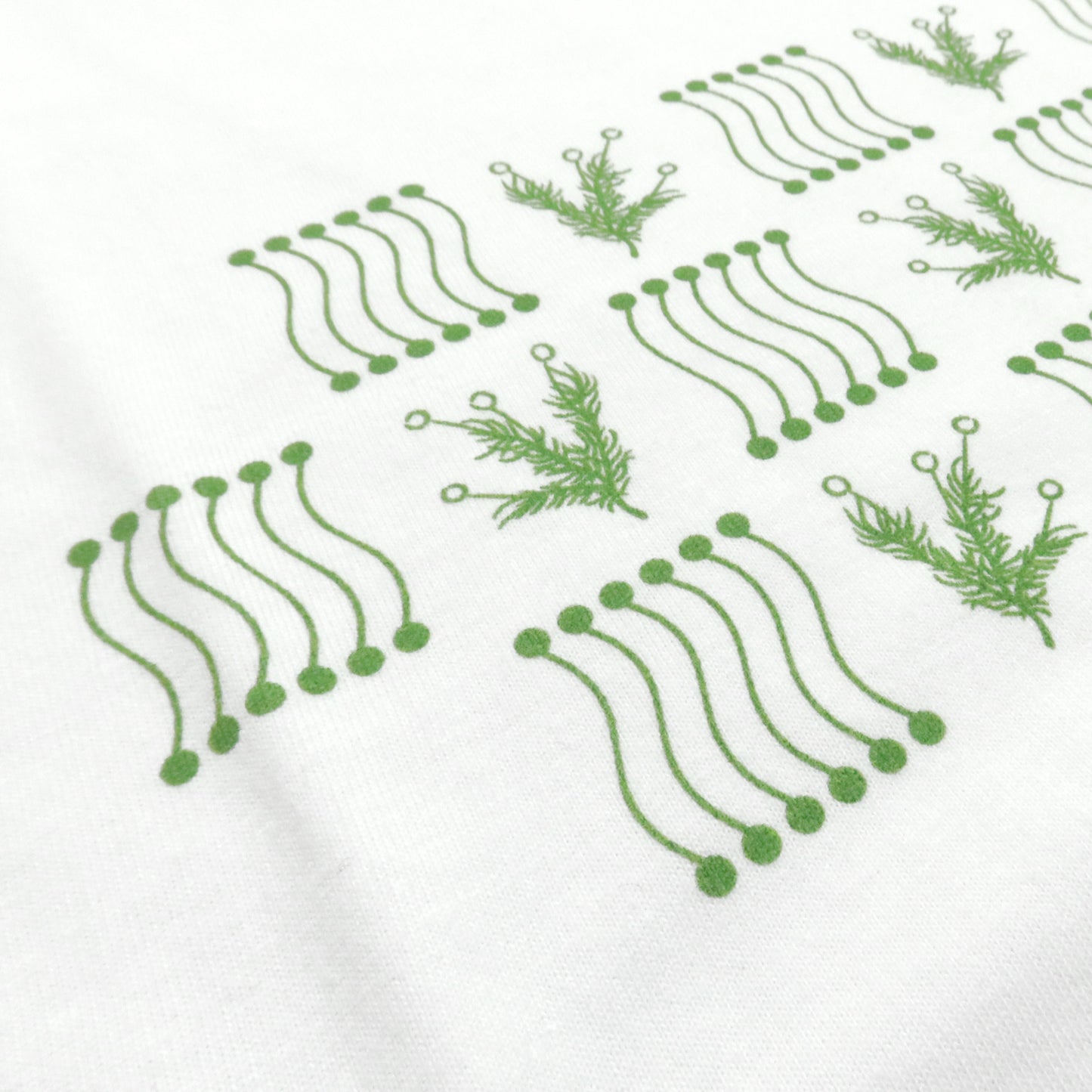 Tシャツ【モスフィック】タマゴケ
